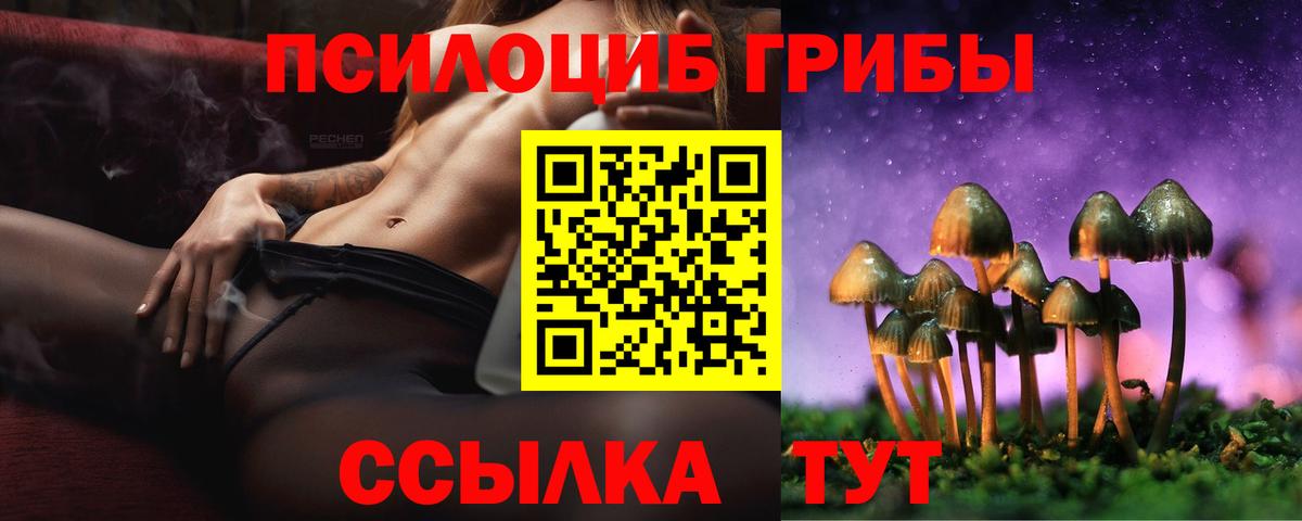 Галлюциногенные грибы Psilocybe  Галлюциногенные грибы GOLDEN TEACHER  Вход с VPN  Нефтекамск 